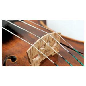 Violin Strenge